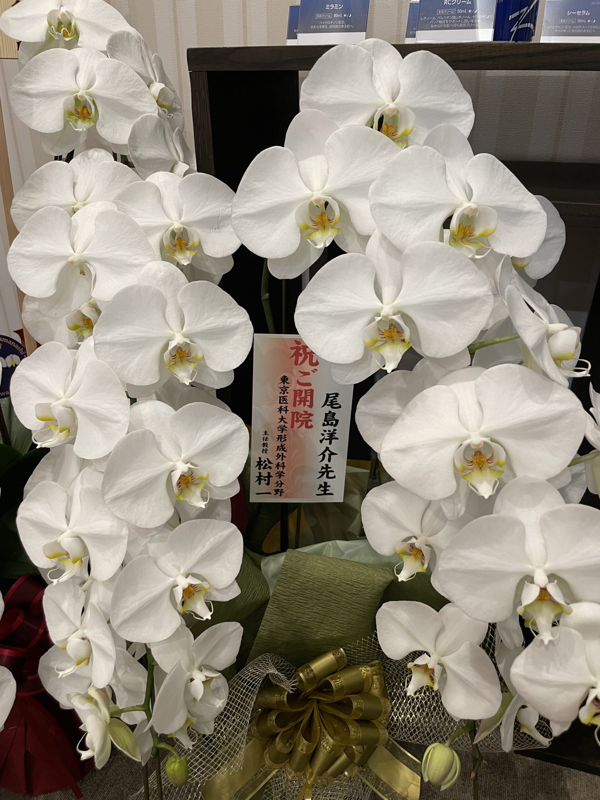 形成外科 とは よつや駅前クリニックの内科と皮膚科 形成外科 よつや駅前クリニック 内科と皮膚科 形成外科